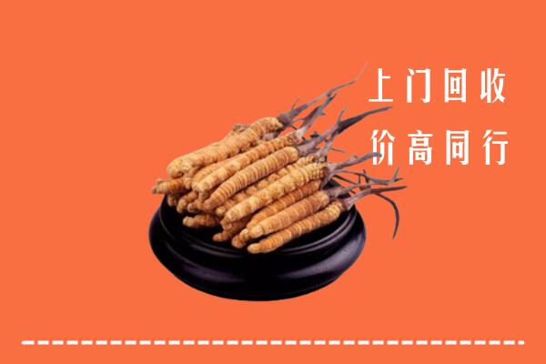 高价求购：乌什县回收散虫草