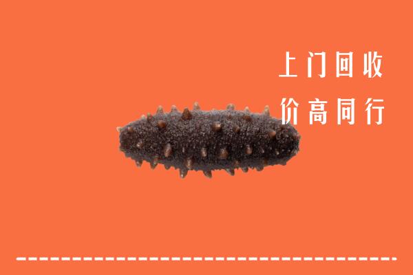 高价求购：乌什县回收海参